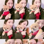 [댓글부탁해] 너네 <b>장래</b>희망이 뭐야???