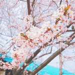 [댓글부탁해] 떡볶이에 <b>오레오</b> 부순거 넣어서먹어봐