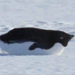 [드루와] 럽<b>미라</b>잇 일본버전 주소좀 주세요ㅠㅠ