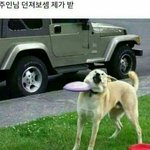[ㅋㅋㅋㅋㅋ] 너네 새벽에 뭐하?