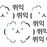 [조언부탁] <b>진로</b>상담좀ㅜㅜ