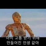 [댓글부탁해] 노래추천좀해주랑ㅈㅂㅠㅠ