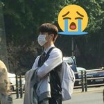 [세븐틴] 오늘 화력 좋은 듯 이런<b>날</b>은 짤파티임