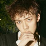 [EXO] 슴은 오세훈이 ㅈㄴ맘에 들었었나봄