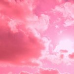 [댓글부탁해] <b>내</b>가 놓으면 다 끝나버리는 <b>인연</b>