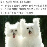 [댓글부탁해] 너네 물이 들어가는 동시에 삼킬 수 있어?????...