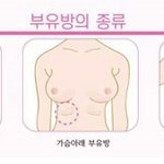 [댓글부탁해] <b>부유방</b> 있는사람?