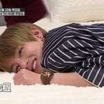 [이삐] <b>방탄</b> 꿈꾸는법..?