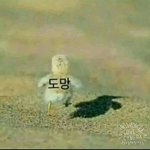 [댓글부탁해] 너희 <b>장점</b> 하나씩만 자랑해바!