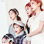 [댓글부탁해] 레드벨벳 여덕 많은 이유 심층분석