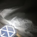 [EXO] 혼자이러고노는<b>중임</b>
