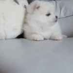 필기<b>TIP</b>좀 알려주라!