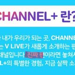 [세븐틴] 가짜<b>팬들</b> 손들어봥ㅋㅋㅎㅋㅋㅋㅎ