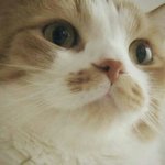 [댓글부탁해] 렌즈 세척액이랑 보존액 한꺼번에 있는 건