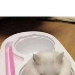 [댓글부탁해] 얘들아 너희 <b>주위</b>에는 쓸데없는 부심부리는애들있니