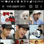 [EXO] 쒸발 ㅈ됐다 사진 다 없어졌다