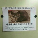 예비중1인데 필기법좀 알려주세요!