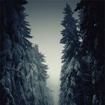 추울때 보면 왠지 더 <b>추운</b> 사진들