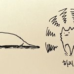 [댓글부탁해] 향수 추천좀 해줘!
