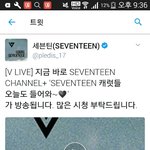 [세븐틴] 오늘도... <b>채플</b>ㅠㅠ