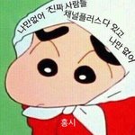 [세븐틴] 내가 이러려고 덕질하나