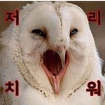 [드루와] 솔직히 네이트<b>판도</b> 여시 회원들 못 들어오게