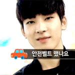 [세븐틴] 캐<b>러시</b>들이 1초만에 꺅하는 짤