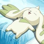 [EXO] 엑소엘들아!