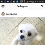 <b>조혜수</b> 글 올렸네