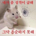 [EXO] 야 연검 정화할 거면 급식들 <b>방학</b>일 <b>때</b> 해 화력이