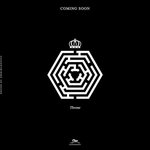 [EXO] 아까부터 이거 <b>왕관</b>있는 로고들 뭐임