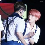 [세븐틴] <b>궁지</b>에 몰린 꽃사슴