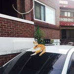 서비스직에 대한 회의감