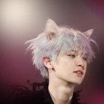 [EXO] 난 강<b>쥐</b>보다 고양이가 좋음