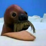핑구 아는 사람?