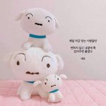 6시간 후에 반<b>배정</b> 결과 나오는데