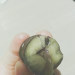 [댓글부탁해] 이거<b>맛</b>밤벌레야?(사진있어)