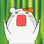[드루와] 학생증 사진 ㄹㅇ 개때리고싶게 생겼다