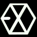 [EXO] 혹시 응원봉뜨거워져서 <b>화상</b>입을꺼같으면