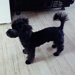 [EXO] 토벤이 <b>폭풍</b>성장 둥?