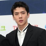 [세훈] 170222 <b>레드카</b>펫 기사사진