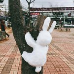[댓글부탁해] 이번에 컬러라이브 살건데 추천 좀 해줘!