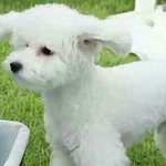 [댓글부탁해] 아까 담임 야동봤다는<b>썰</b>보고 생각남ㅋㅋ