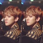 [백현] 백현이 <b>뭔</b> <b>일</b>인데 난리?