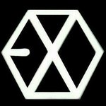 [EXO] 이거 밝기최대로하면 쓸만하대