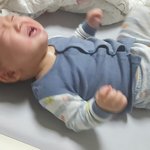 [고양이] 415일째 육아육묘