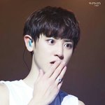 [EXO] 밥씽구 열이는 살아있다 분명 왜냐면