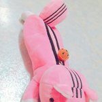 <b>필통</b> 이거 ㄱㅊ??