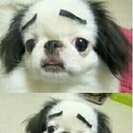 [조언부탁해] 친오빠 방금 기절함 ㅋㅋㅋㅋ...