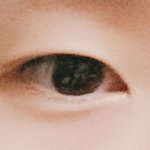 내눈 <b>앞꼬리</b> 타고남